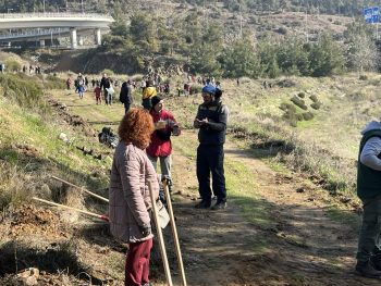 Θεσσαλονίκη: Φυτεύτηκαν 1.000 δέντρα στο δάσος Τριανδρίας (ΦΩΤΟ)